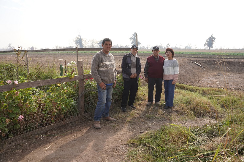 el predio de Predio de Samuel Marín González, reconocido productor de hortalizas. Arrienda el terreno a la Universidad de Chile  Campus Antumapu 