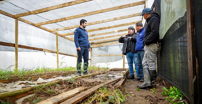 INDAP-Detalla-Medidas-Apoyo-Pequeños-Agricultores-Zona-Centro-Sur-Afectados-Segundo-Sistema-Frontal-3Interior
