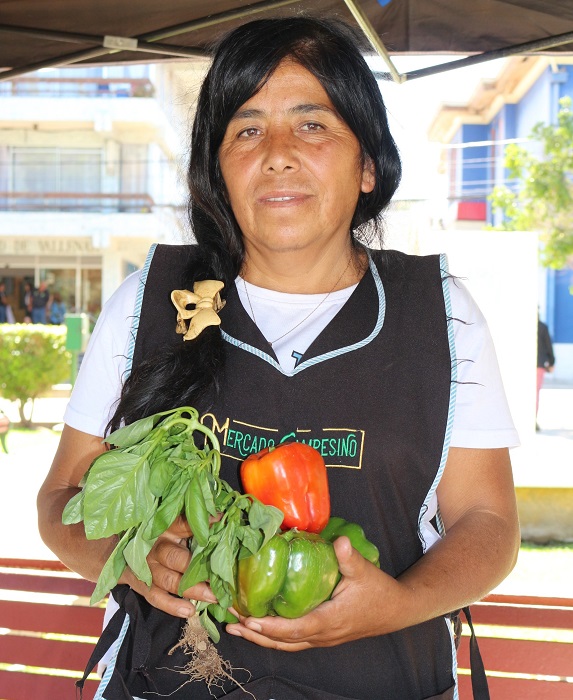 Mercado patrimonial Vallenar 2