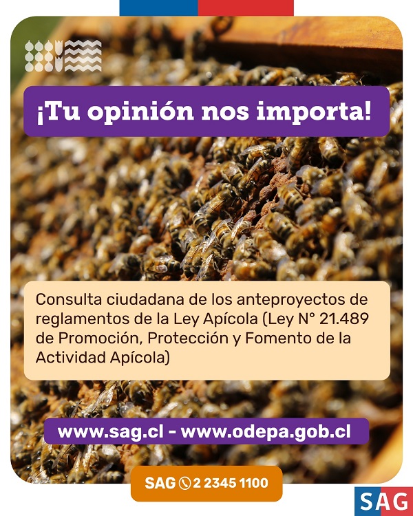 encuesta apícola