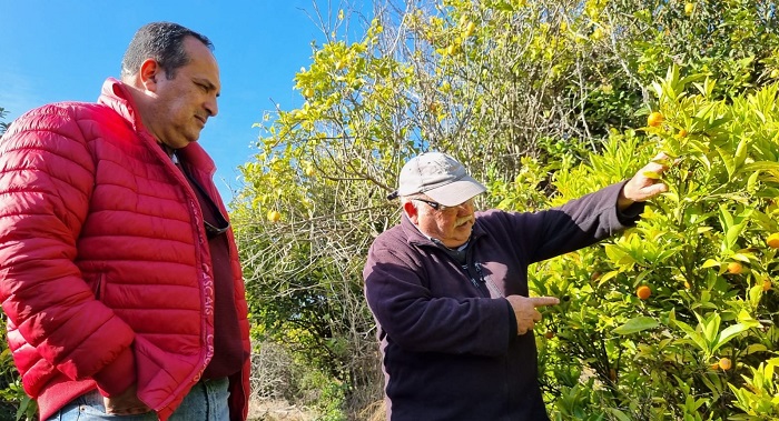 Recorrido jefe de Área La Serena 3