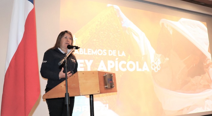 Seminario apícola Los Ríos 2