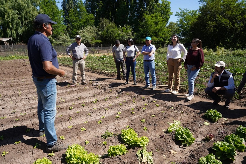 Delfín Toro fue visitado por un equipo de INDAP, la subsecretaría de Agricultura y la USACH