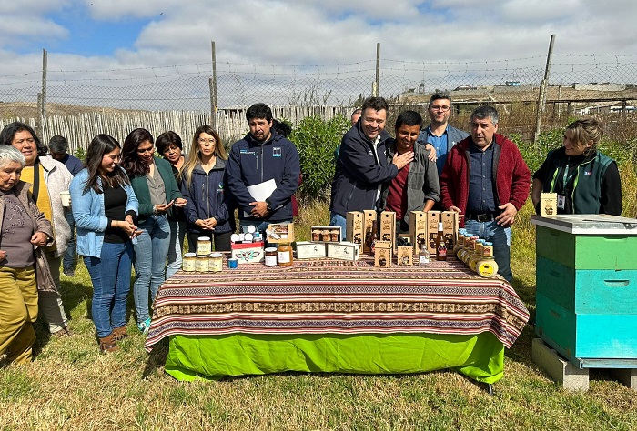 Apoyo estratégico Atacama 2