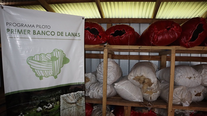 Banco de Lanas de Lenca 2