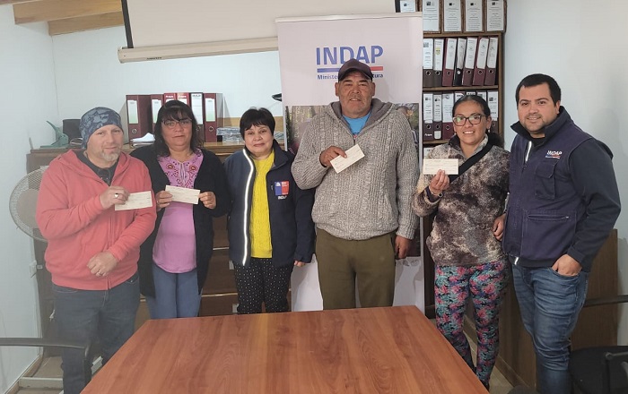 Bonos reactivación valle de Aconcagua 2