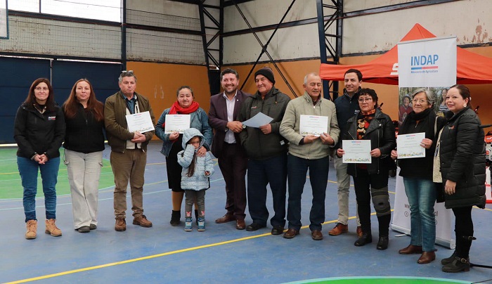 Codegua proyectos IFP 2