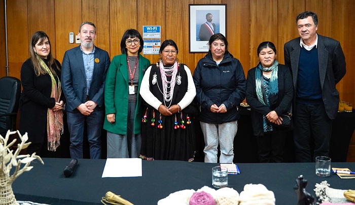 Comité materias primas artesanía 3
