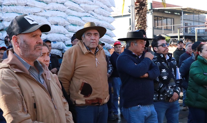 Entrega forraje Coltauco 3