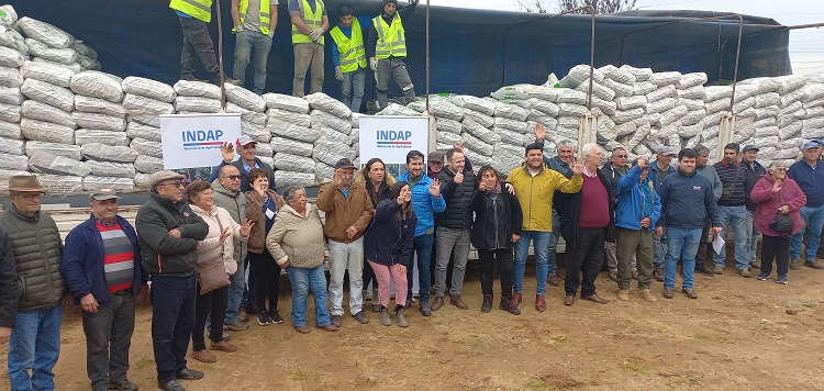 Entregas de emergencia en Maule 2