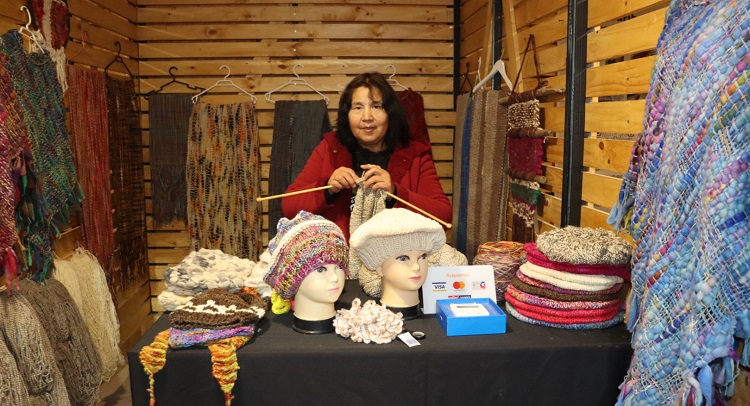 Expo Invierno Lago Ranco 3