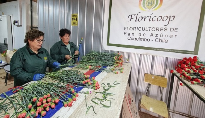 Extienden plazo PDI Coquimbo 1