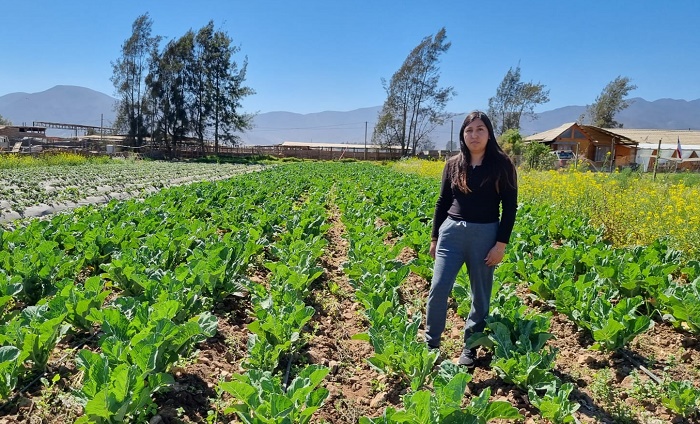 Fernanda Cabezas - frutillas Coquimbo 2