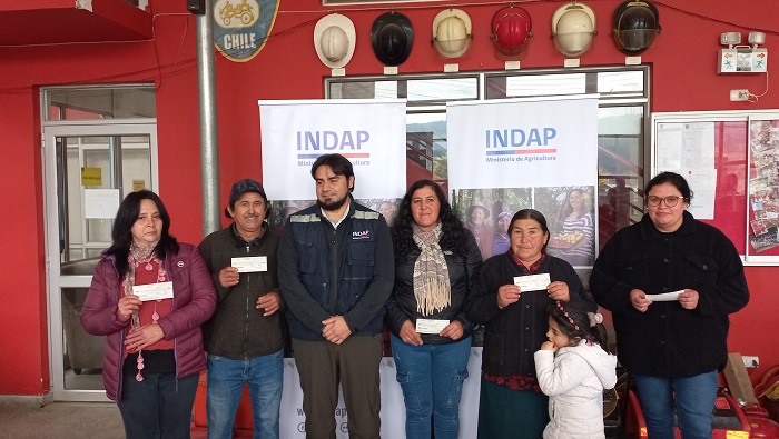 Incentivos emergencia Curepto 2