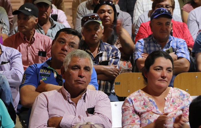 Incentivos maíz O'Higgins 2
