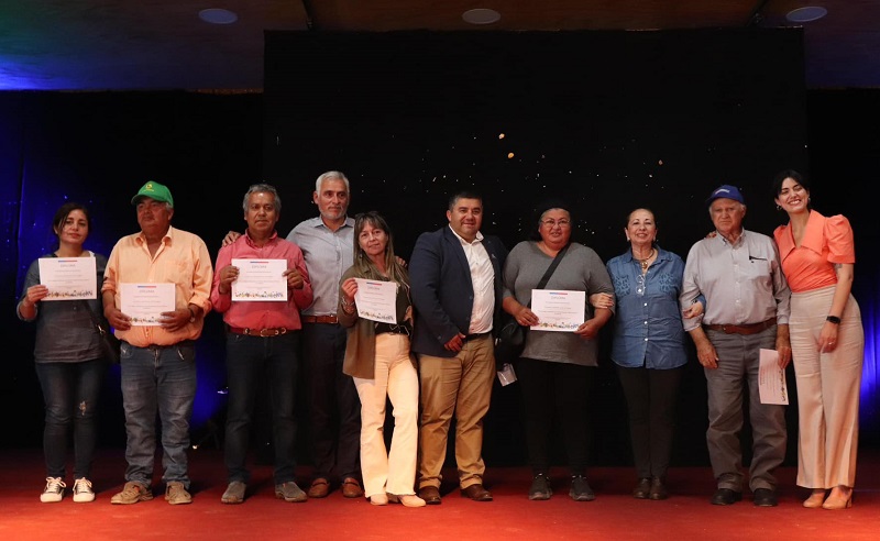 Incentivos maíz O'Higgins 3