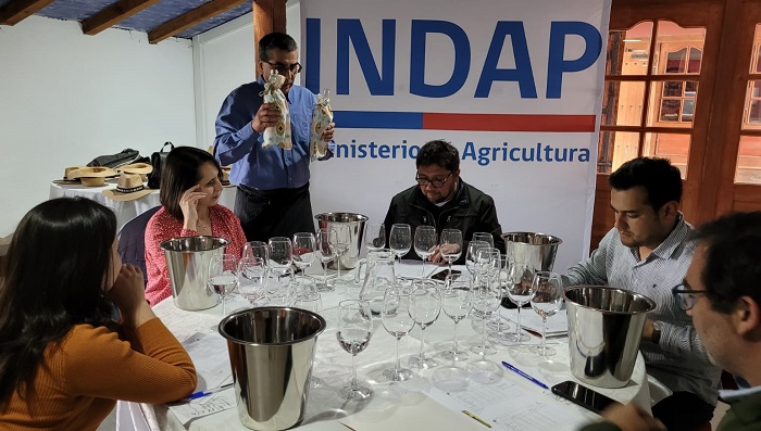 Jurado concurso vinos Valle del Itata