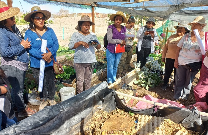 Manejo ecológico de suelos Tarapacá 1