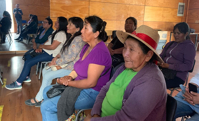 Mesa Mujer Rural Pica y Pozo Almonte 2