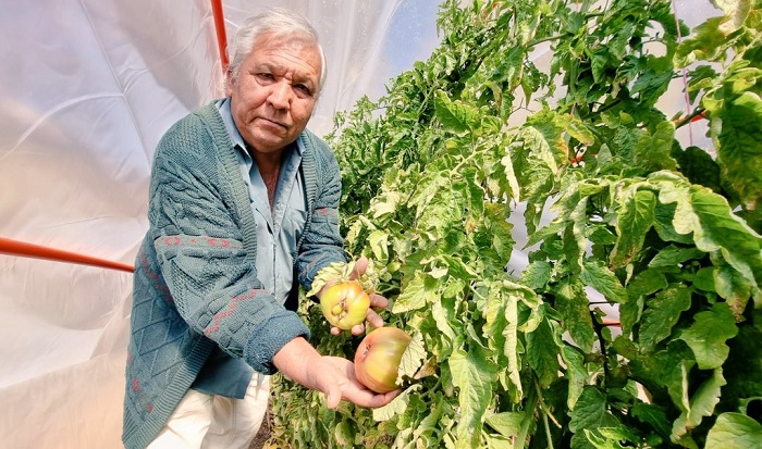 Percy Iglesias - agroecología Paihuano 3