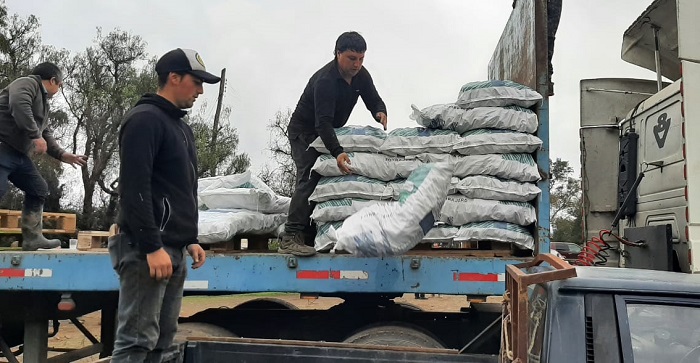 Alimentación animal Provincia de Curicó 3