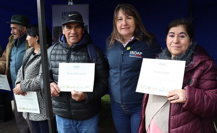 Proyectos inversión Río Bueno 2