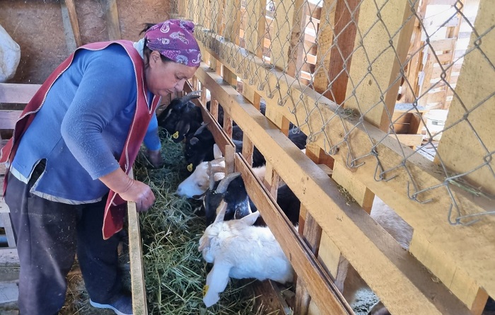Susana González - agricultora Combarbalá 2