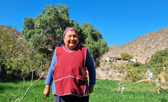 Susana González - agricultora Combarbalá 3