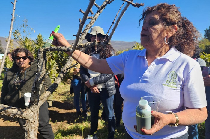 Taller abonos orgánicos La Serena 2