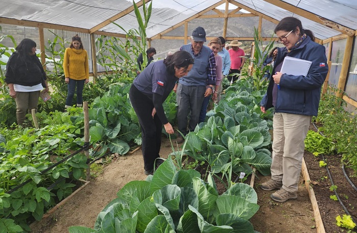 Taller agroecología Punitaqui 3