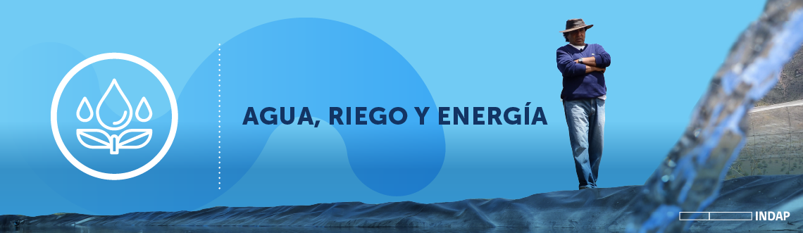 Consultores de Riego