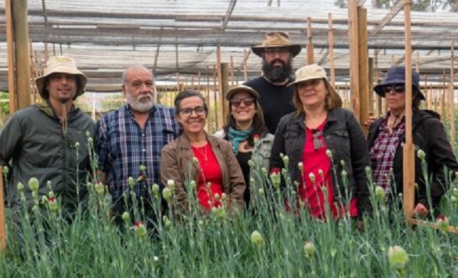Agricultores, floricultores y científicos se unen para reducir el uso de  plaguicidas en Coquimbo | Indap