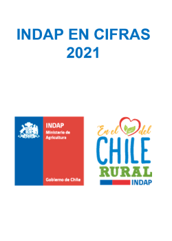 INDAP en cifras 2021