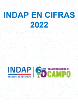 INDAP en cifras 2022