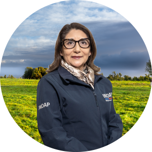 Jefa Auditora