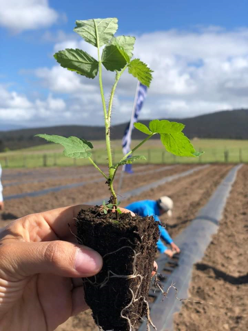 Encuentro de agroecología en Araucanía