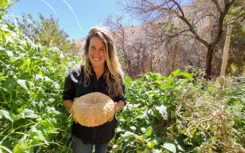 Inglesa Kate Farmer hace agricultura en Paihuano 3