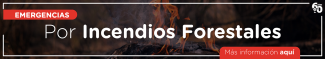 Emergencia por incendios forestales 2023