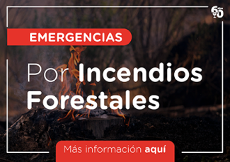 Emergencia por incendios forestales 2023