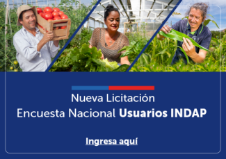 Licitación usuarios de INDAP