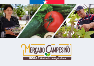 Mercados Campesinos en Chile