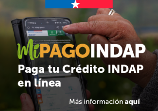 Mi Pago Indap