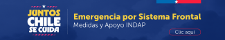 Emergencia por el sistema frontal 
