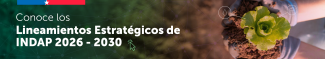 Estrategia INDAP 2026 -2030