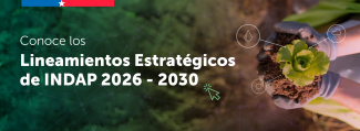 Estrategia INDAP 2026 -2030